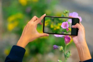Mobile Photography Tips Using Budget Phones